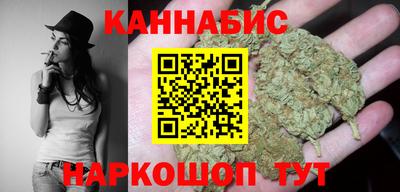 сатива Лесосибирск