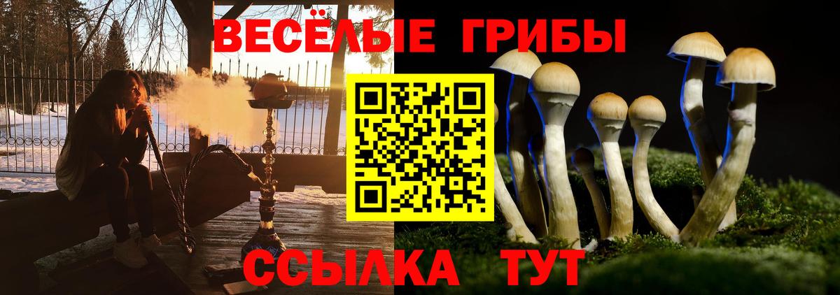 Галлюциногенные грибы Psilocybe  Псилоцибиновые грибы ЛСД  Ярцево  Вход с VPN 
